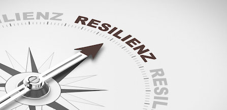 Resilienz für Führungskräfte - Wozu?
